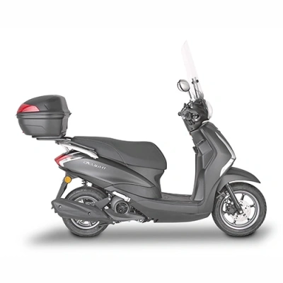 KR2134 nosič kufra YAMAHA D'elight 125 (17-25)